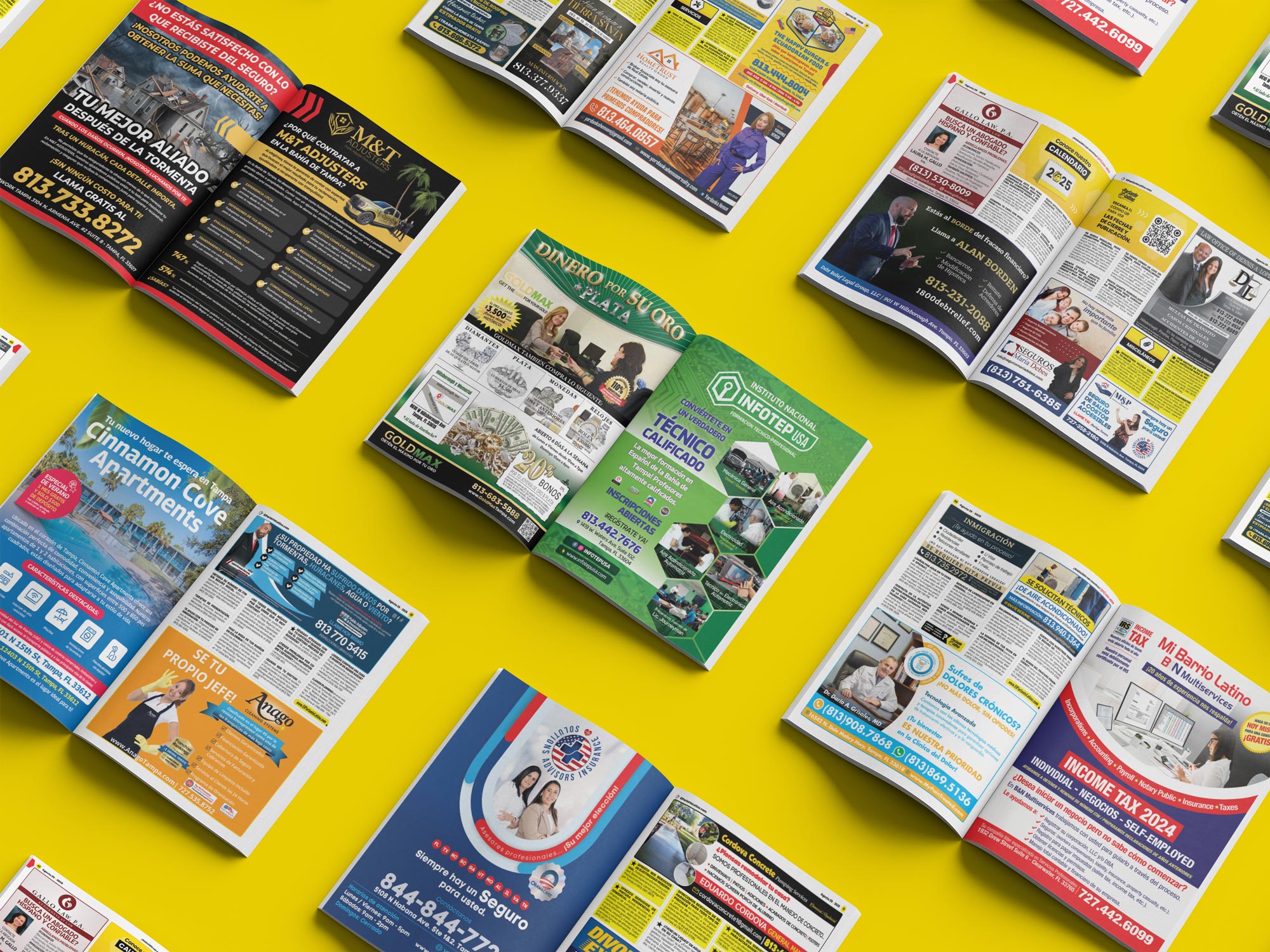 Detalle del proyecto EPL